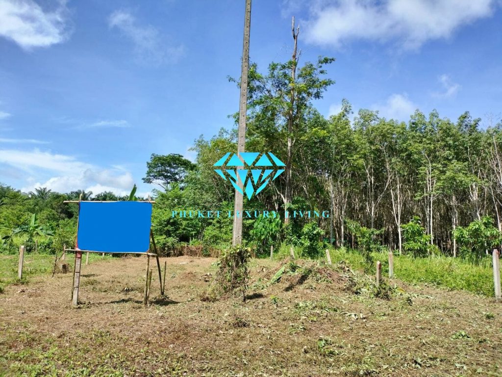 Land for sale in Bang Pae, Soi Look Leaw