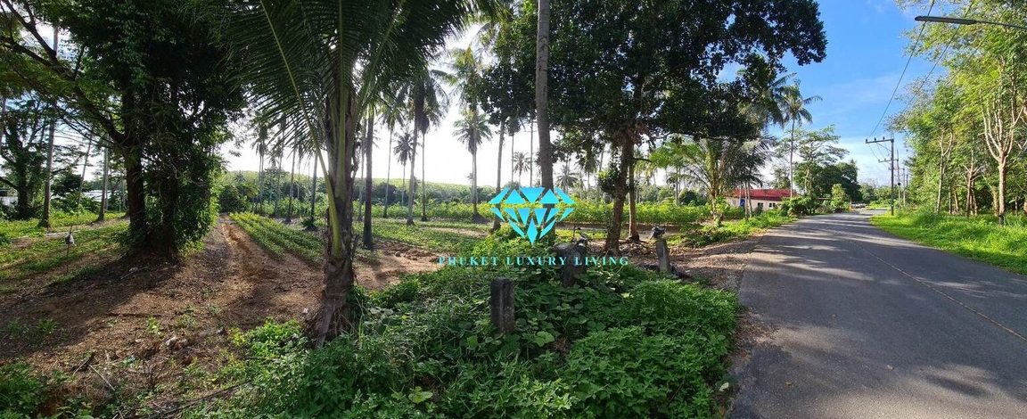 Land for sale in Mai Khao, Phuket, 500 meters from the sea.